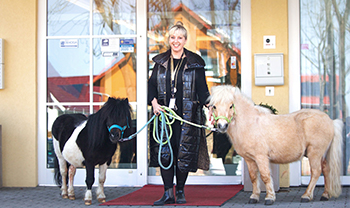 Mini Shetland Ponys Schloss Breitenfeld